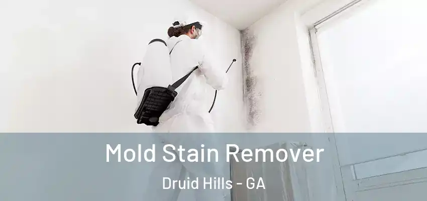 Mold Stain Remover Druid Hills - GA