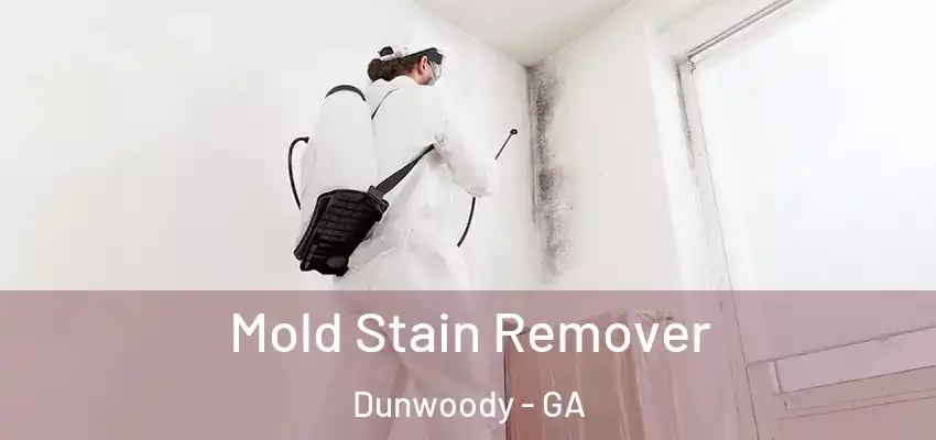  Mold Stain Remover Dunwoody - GA
