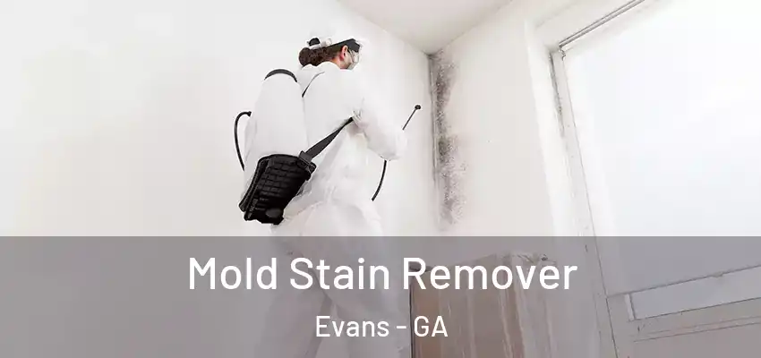 Mold Stain Remover Evans - GA