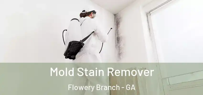  Mold Stain Remover Flowery Branch - GA