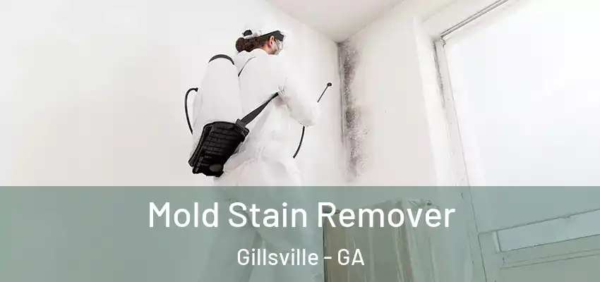 Mold Stain Remover Gillsville - GA