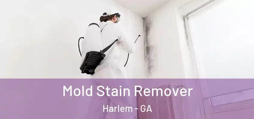  Mold Stain Remover Harlem - GA