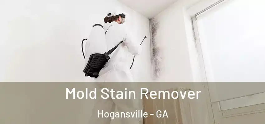  Mold Stain Remover Hogansville - GA