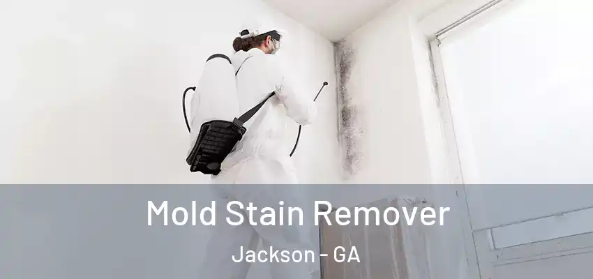  Mold Stain Remover Jackson - GA