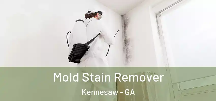  Mold Stain Remover Kennesaw - GA