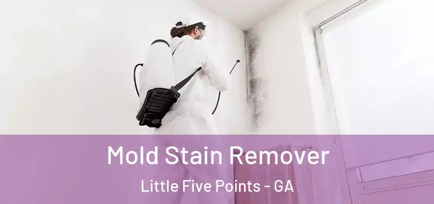  Mold Stain Remover Little Five Points - GA