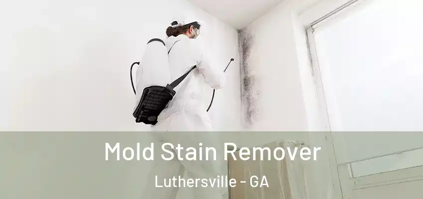  Mold Stain Remover Luthersville - GA