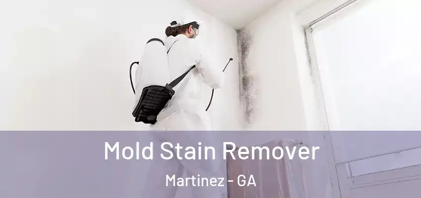 Mold Stain Remover Martinez - GA