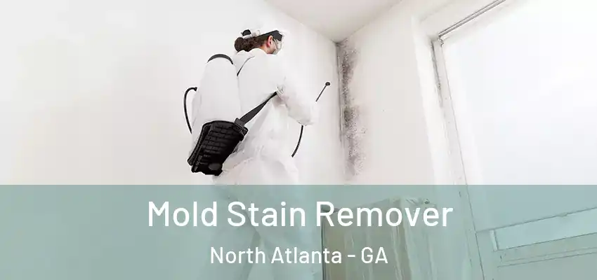  Mold Stain Remover North Atlanta - GA