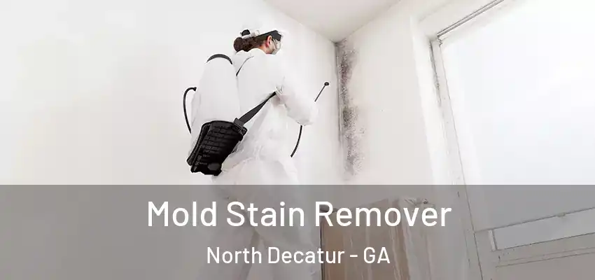  Mold Stain Remover North Decatur - GA