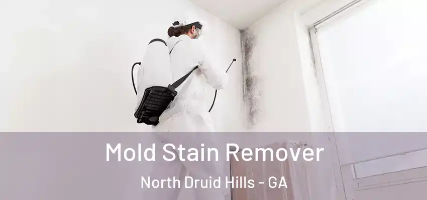 Mold Stain Remover North Druid Hills - GA