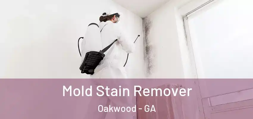  Mold Stain Remover Oakwood - GA