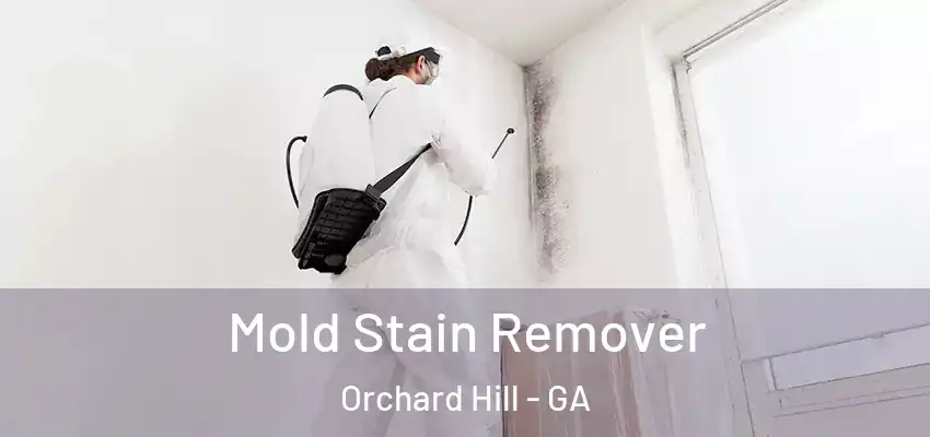  Mold Stain Remover Orchard Hill - GA