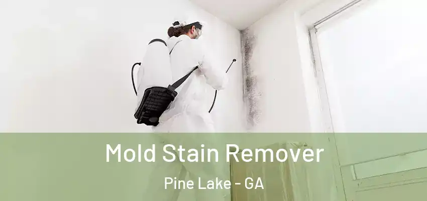  Mold Stain Remover Pine Lake - GA
