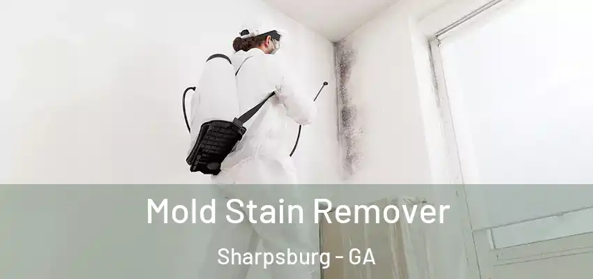 Mold Stain Remover Sharpsburg - GA