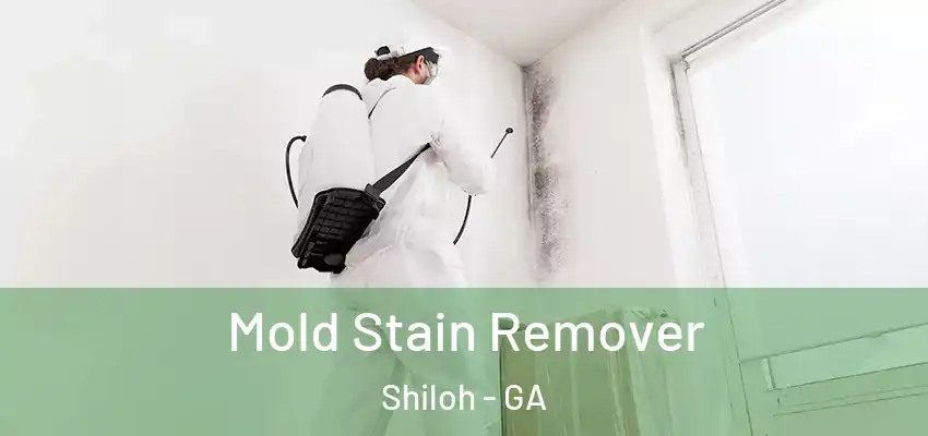  Mold Stain Remover Shiloh - GA