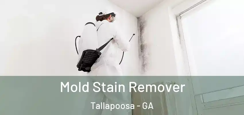  Mold Stain Remover Tallapoosa - GA