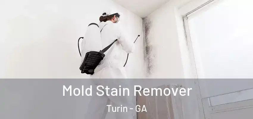  Mold Stain Remover Turin - GA