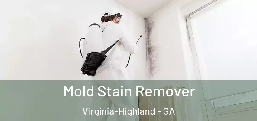  Mold Stain Remover Virginia-Highland - GA