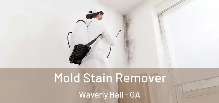  Mold Stain Remover Waverly Hall - GA