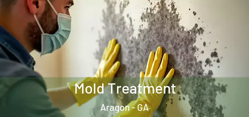  Mold Treatment Aragon - GA