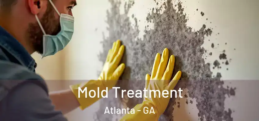  Mold Treatment Atlanta - GA