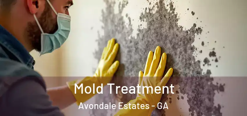  Mold Treatment Avondale Estates - GA