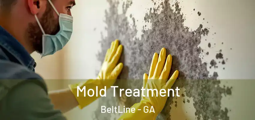 Mold Treatment BeltLine - GA