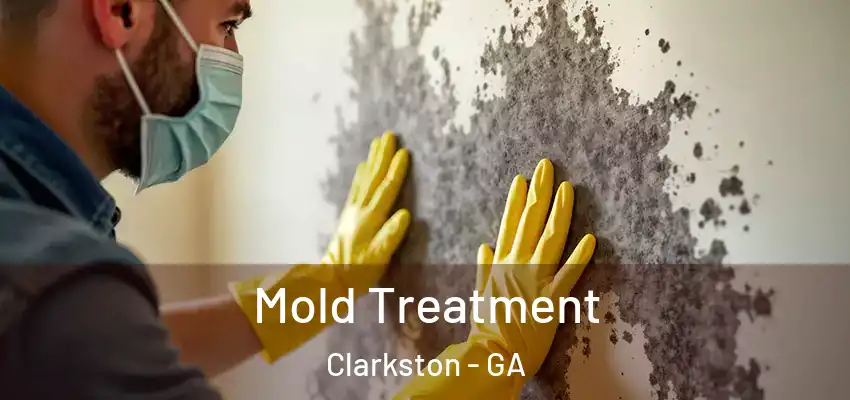  Mold Treatment Clarkston - GA