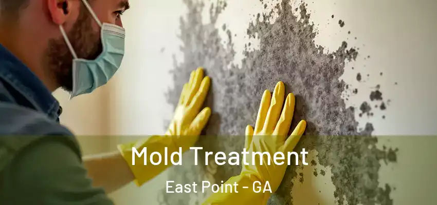  Mold Treatment East Point - GA