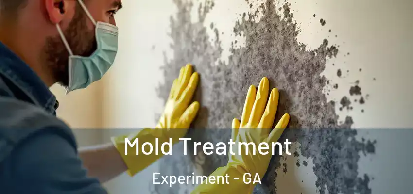  Mold Treatment Experiment - GA