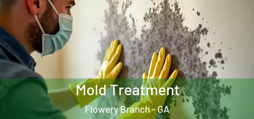  Mold Treatment Flowery Branch - GA