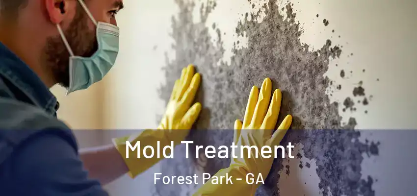  Mold Treatment Forest Park - GA