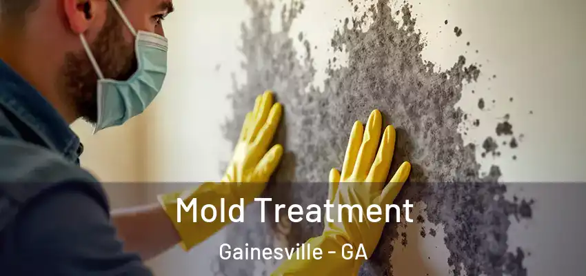  Mold Treatment Gainesville - GA