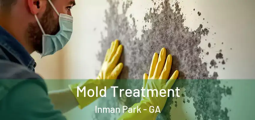  Mold Treatment Inman Park - GA