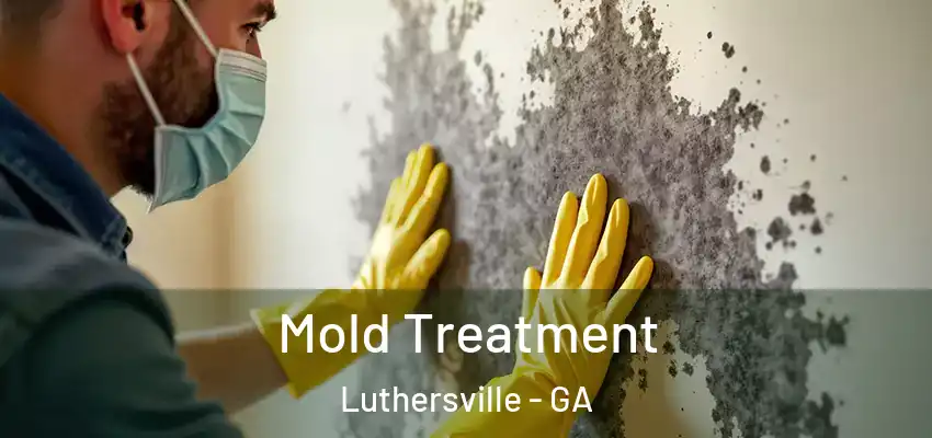  Mold Treatment Luthersville - GA