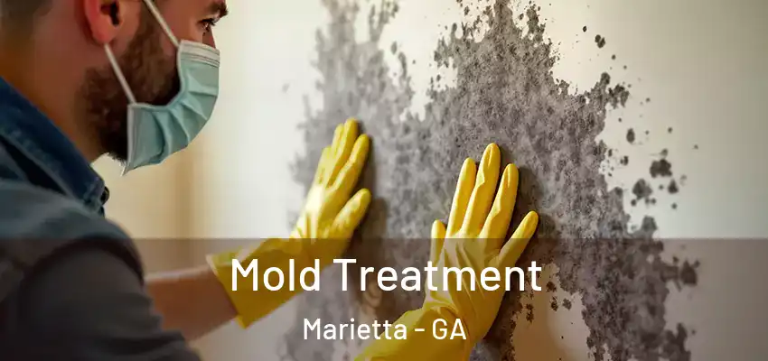  Mold Treatment Marietta - GA