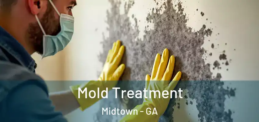  Mold Treatment Midtown - GA