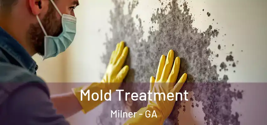 Mold Treatment Milner - GA