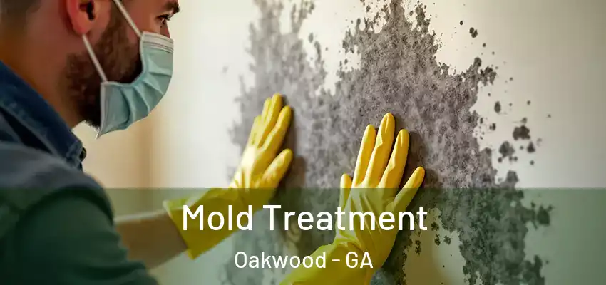  Mold Treatment Oakwood - GA