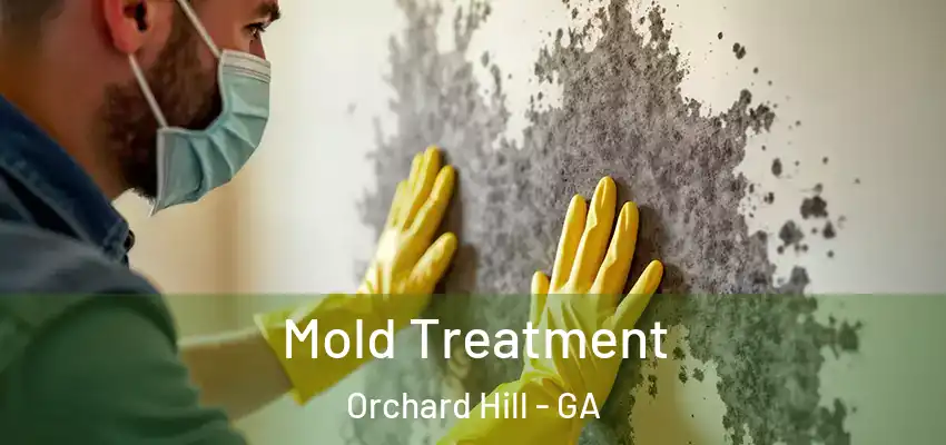 Mold Treatment Orchard Hill - GA