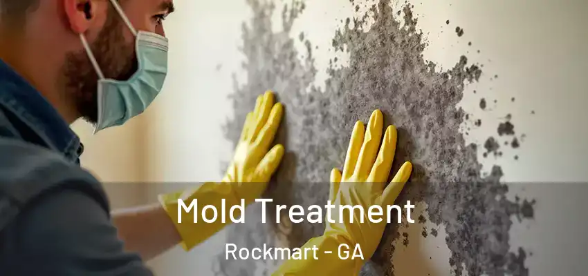  Mold Treatment Rockmart - GA
