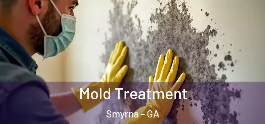 Mold Treatment Smyrna - GA