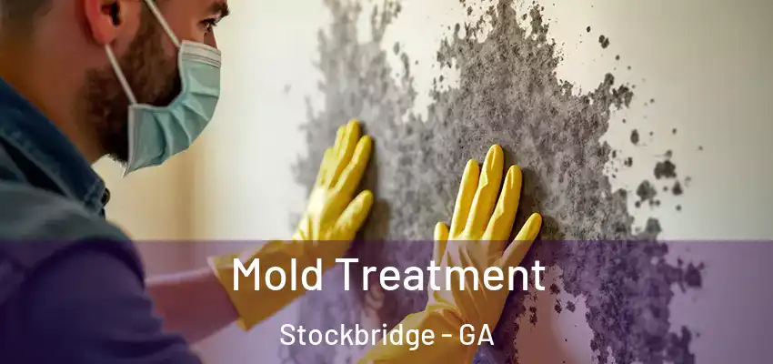  Mold Treatment Stockbridge - GA