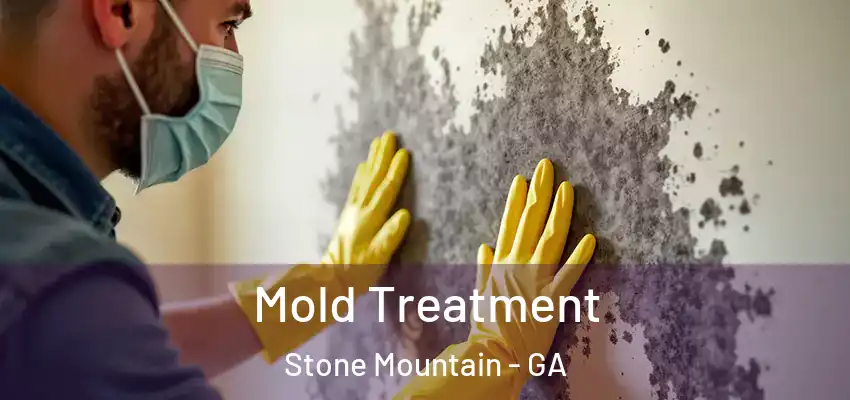 Mold Treatment Stone Mountain - GA