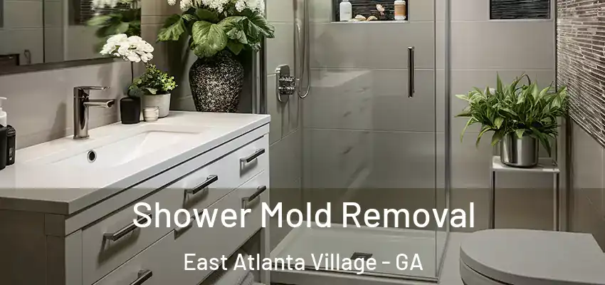 Shower Mold Removal East Atlanta Village - GA