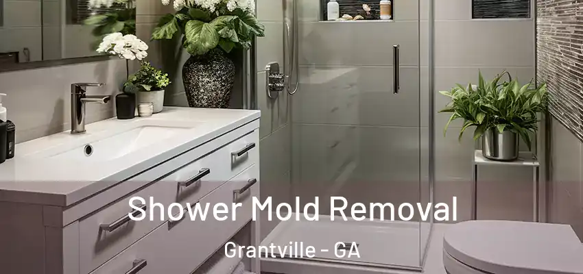  Shower Mold Removal Grantville - GA