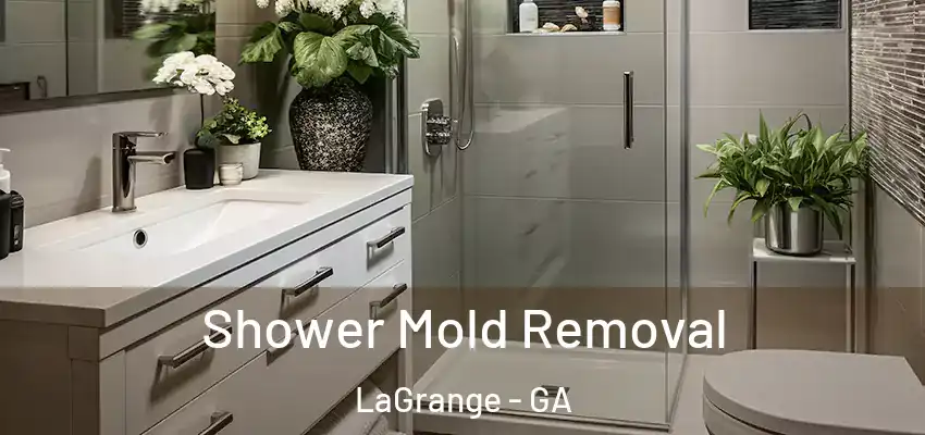  Shower Mold Removal LaGrange - GA