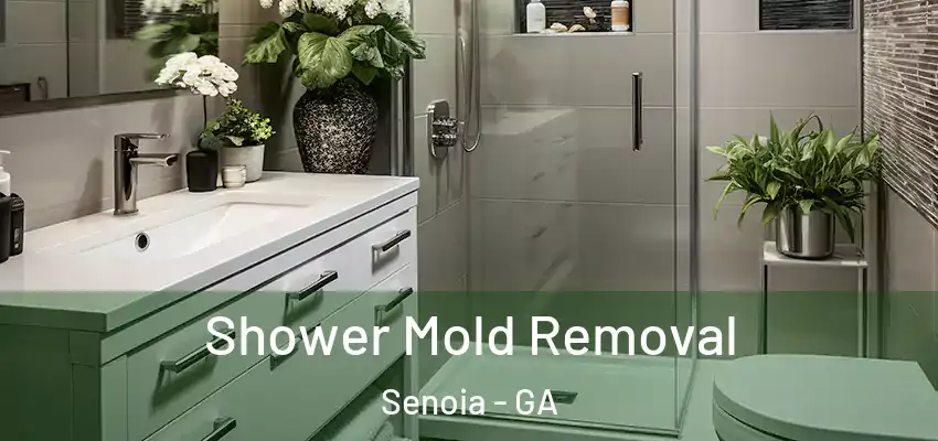  Shower Mold Removal Senoia - GA