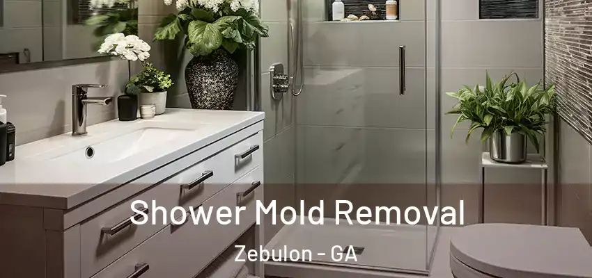 Shower Mold Removal Zebulon - GA